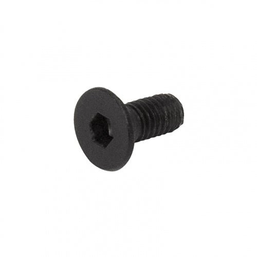 FHC FHC Hinge Coverplate Screws 8 - Pk Allen HD AL6X12MB