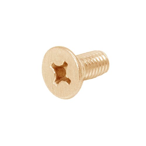 FHC FHC Hinge Coverplate Screws 8 - Pk Phillips HD PL6X12SB