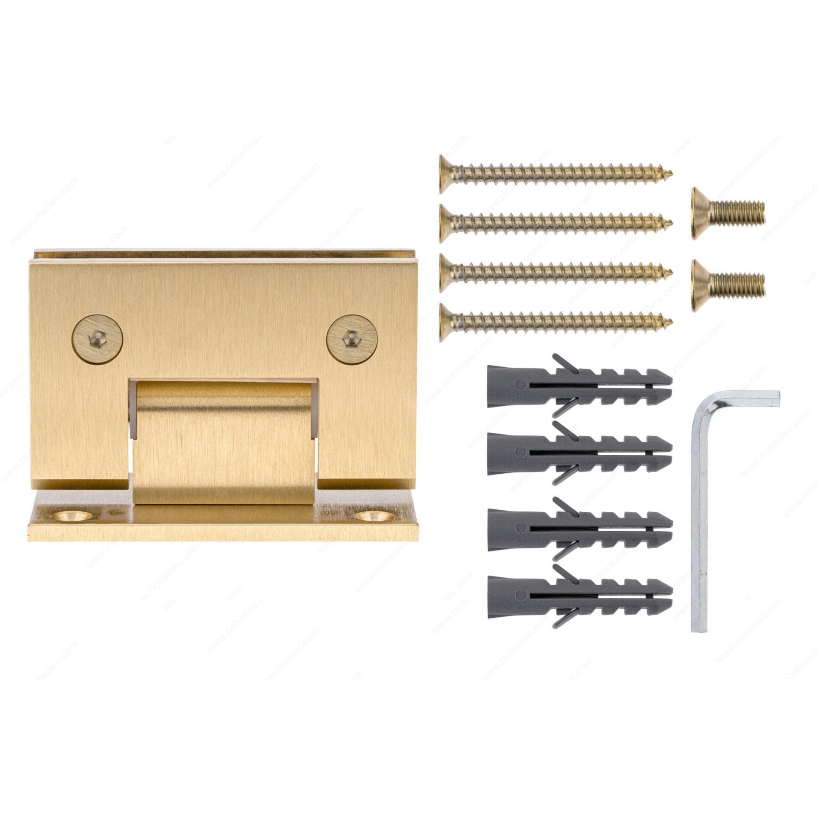 Richelieu Hardware Brushed Nickel Riveo Pro Glass - to - Wall Hinge with Full Backplate SH1SQ90W196